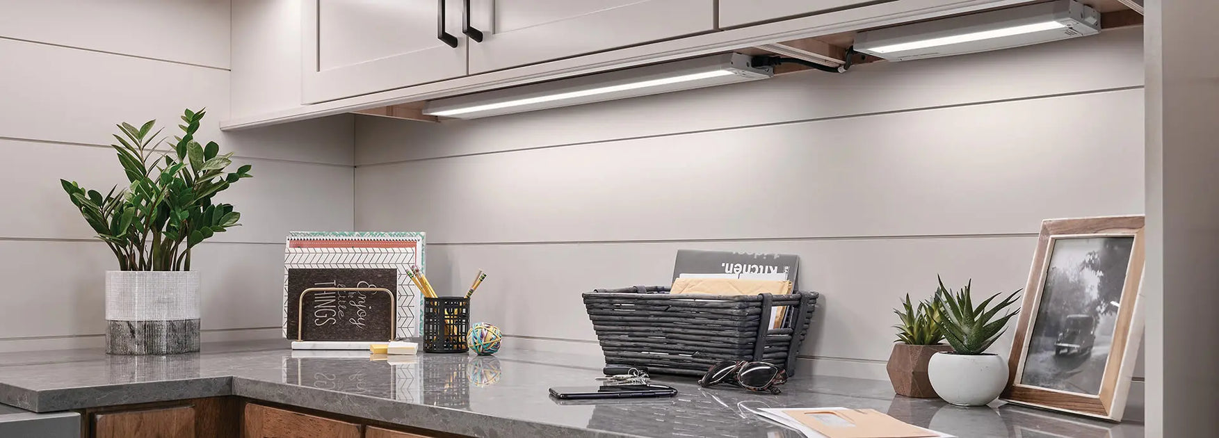 Cabinet & Showcase Lighting — Main Place Lighting