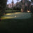 USA Made LED Putting Green Cup Light