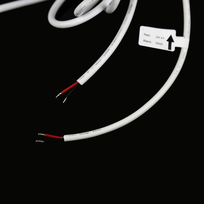 Eluxtra™ 360° LED Neon - 6500K - 5m reel