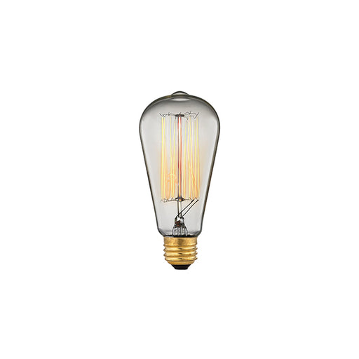 MEDIUM BASE 60-WATT INCANDESCENT EDISON BULB