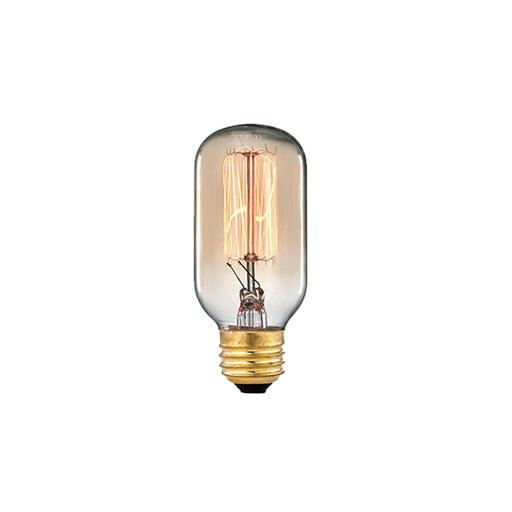 MEDIUM BASE 60-WATT INCANDESCENT BULB