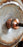 Custom Authentic Turkey Feeder Pendant Light