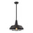 WAREHOUSE PENDANT 67046/1