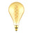 PS160 LED Filament Lamp