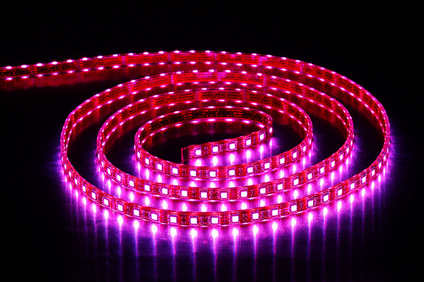 Commercial Grade RGB + W Light Strip
