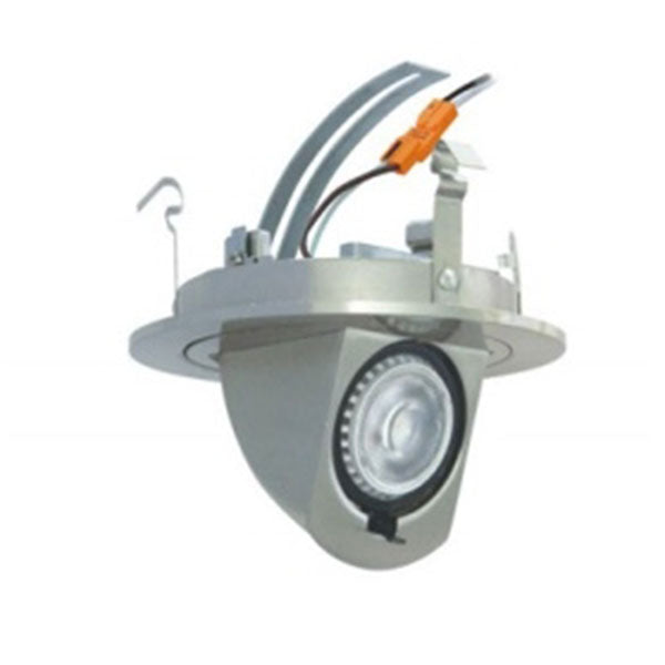 4" LED Pull-Down Light